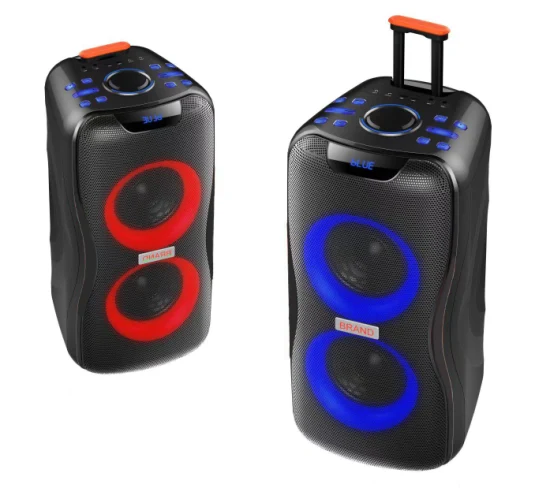 Temeisheng 2022 DJ 박스 음악 MP3 파티 사운드 박스 100W 전문 휴대용 오디오 무선 블루투스 프로 스피커 (마이크 포함)